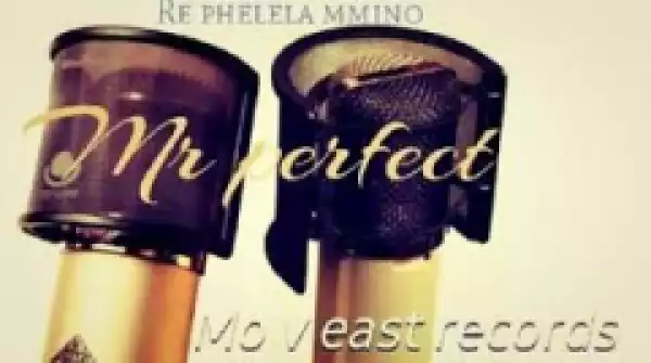 Mr Perfect X Hapas MusiQ - Who Is Mr Perfect (Gwam Mix)